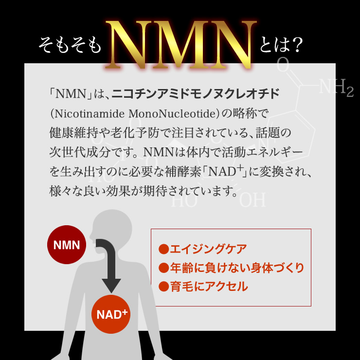 NMNとは