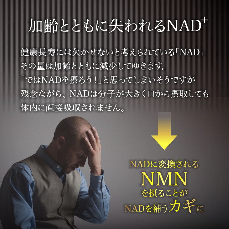 加齢とともに失われるNAD+