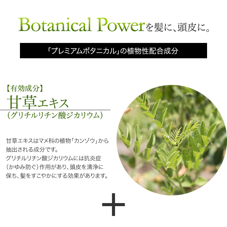Botanical Powerを上に、頭皮に。「プレミアムボタニカル」の植物性配合成分