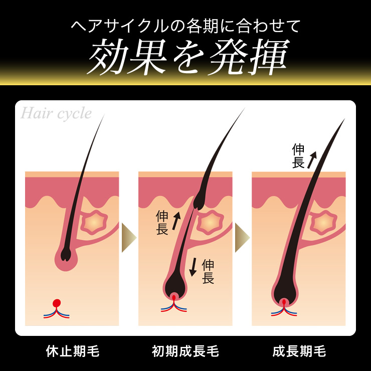 ヘアサイクルの各期に合わせて効果を発揮