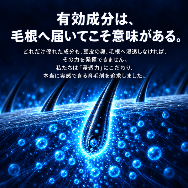通常購入