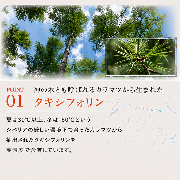 通常購入
