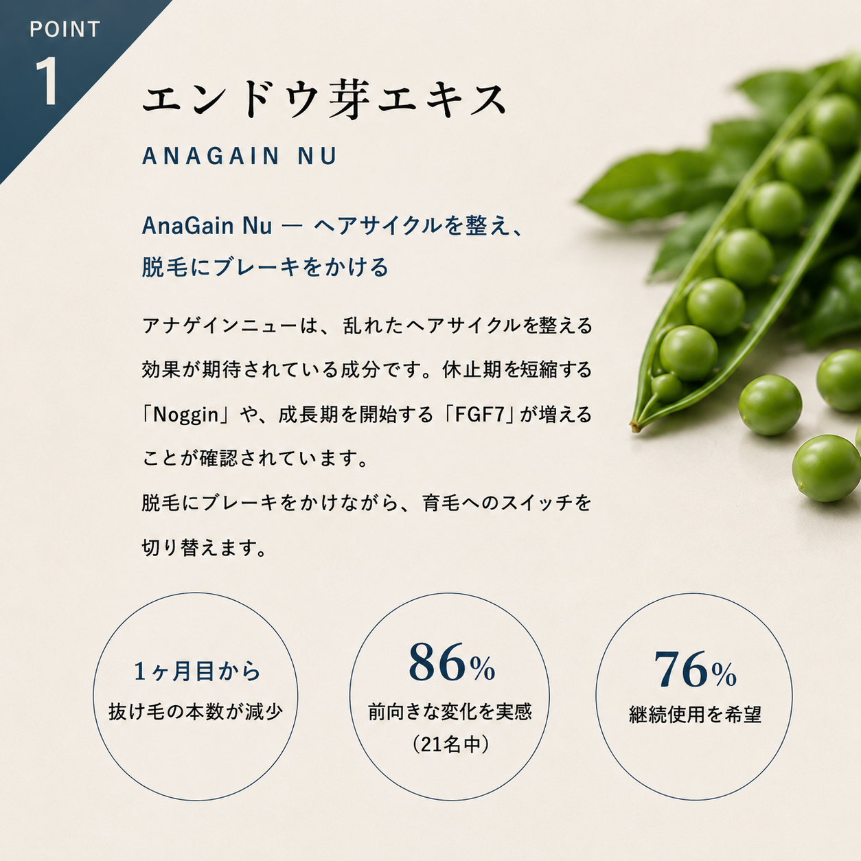 通常購入