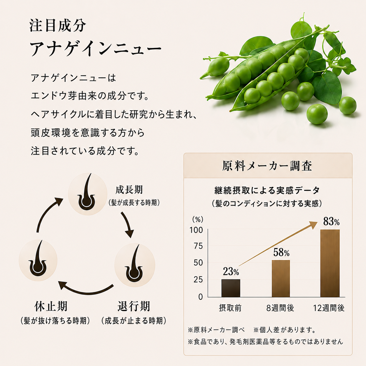 通常購入