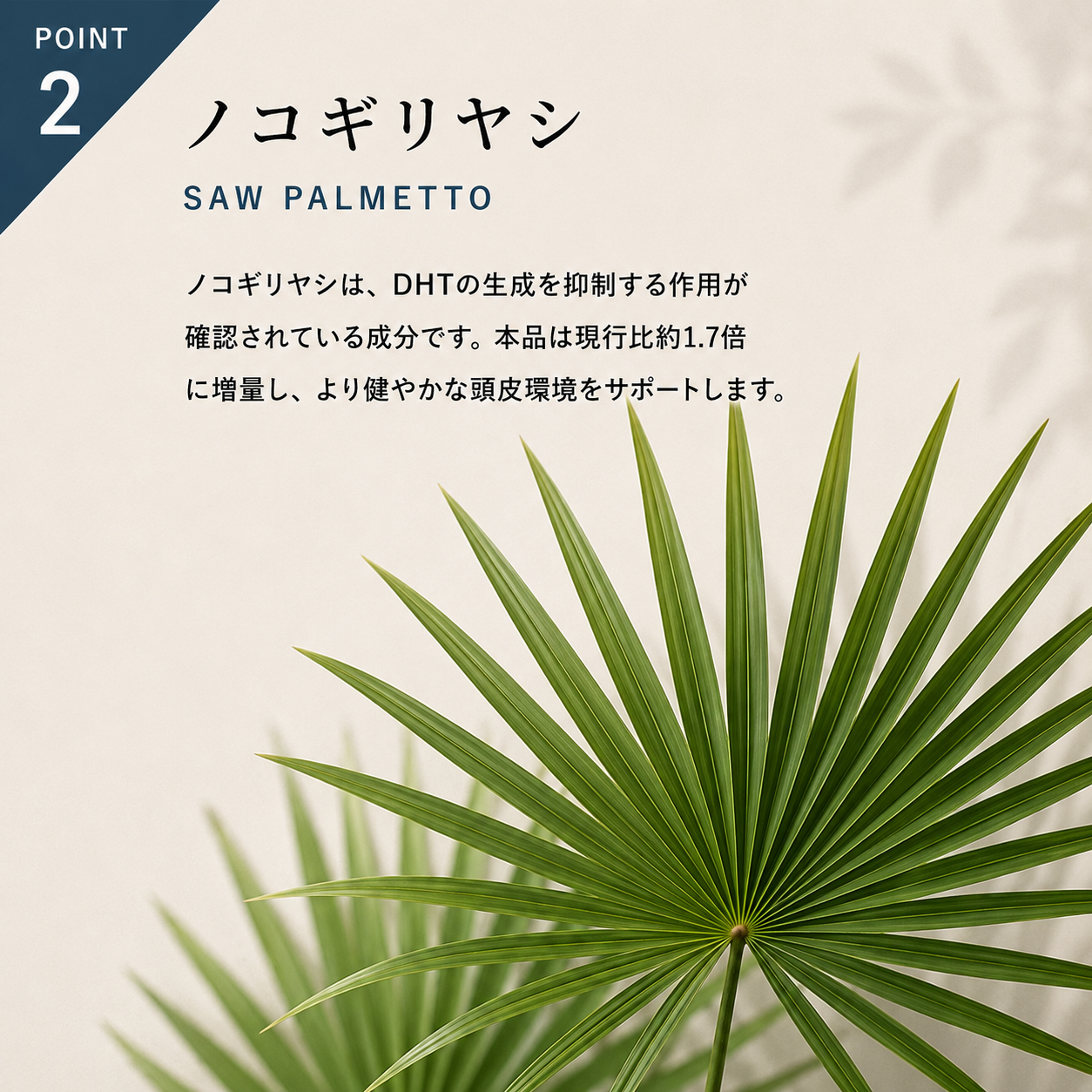 定期購入