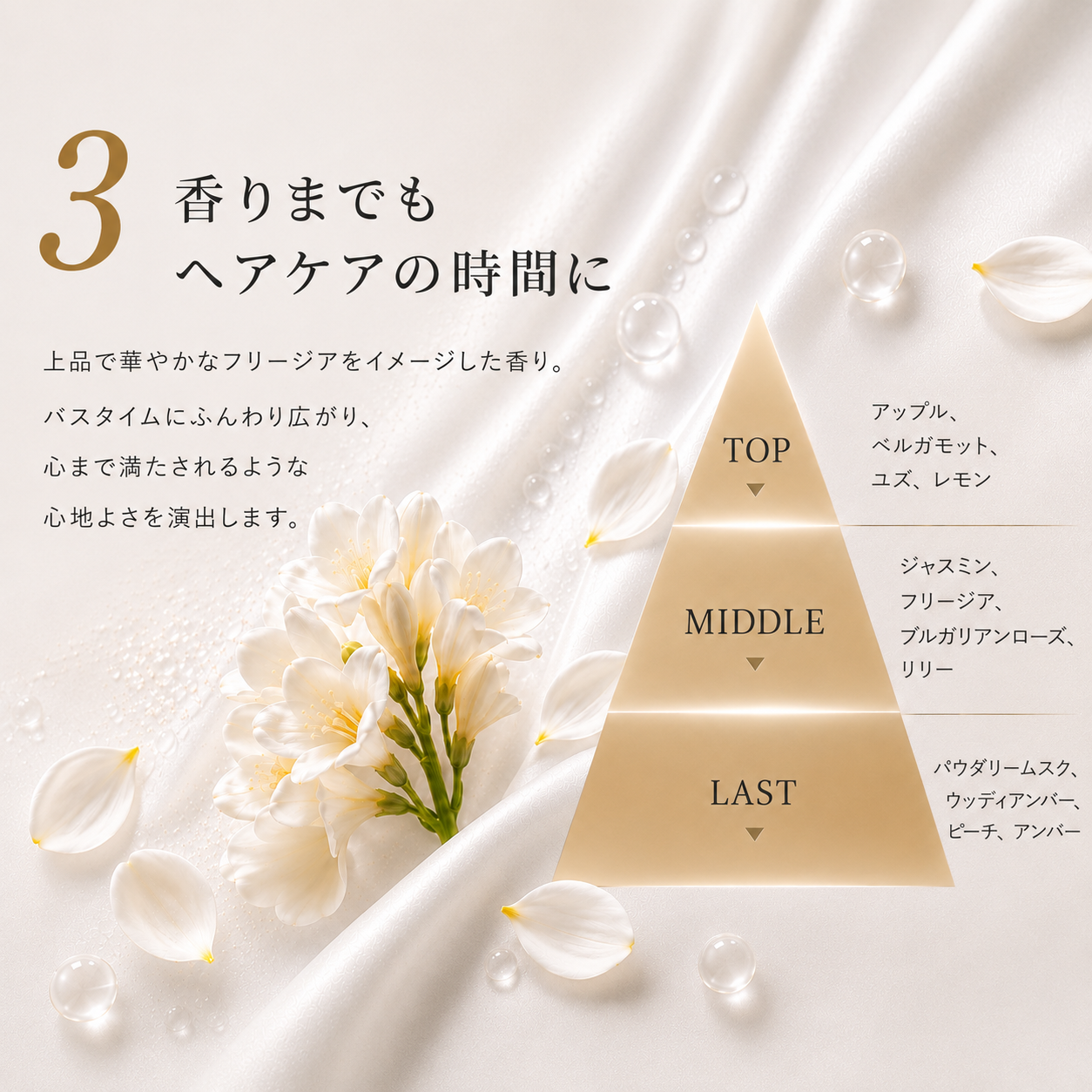 通常購入