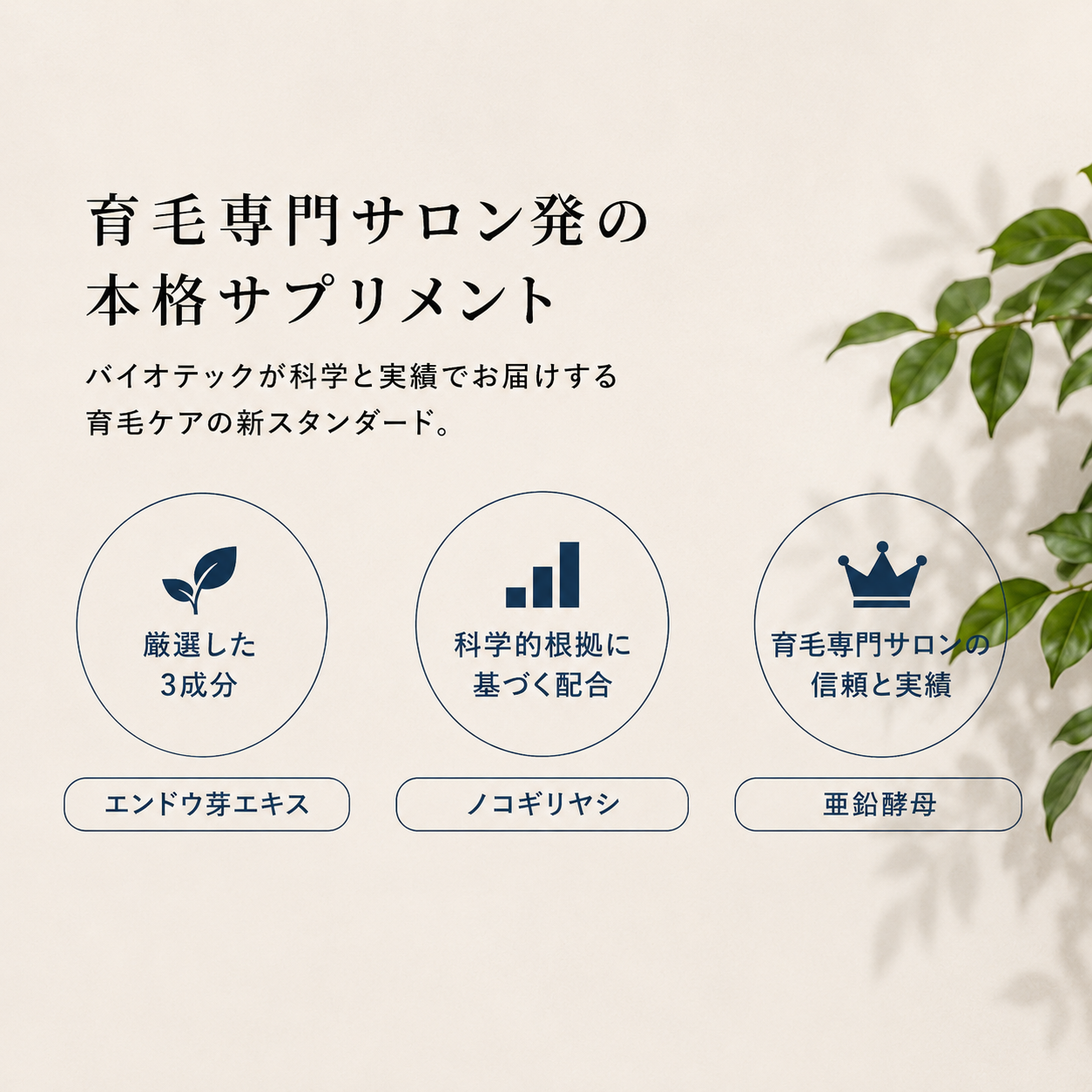 定期購入