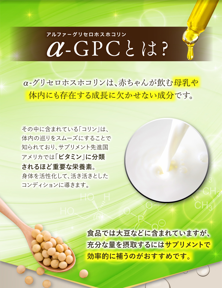 アルファーグリセロホスホコリン