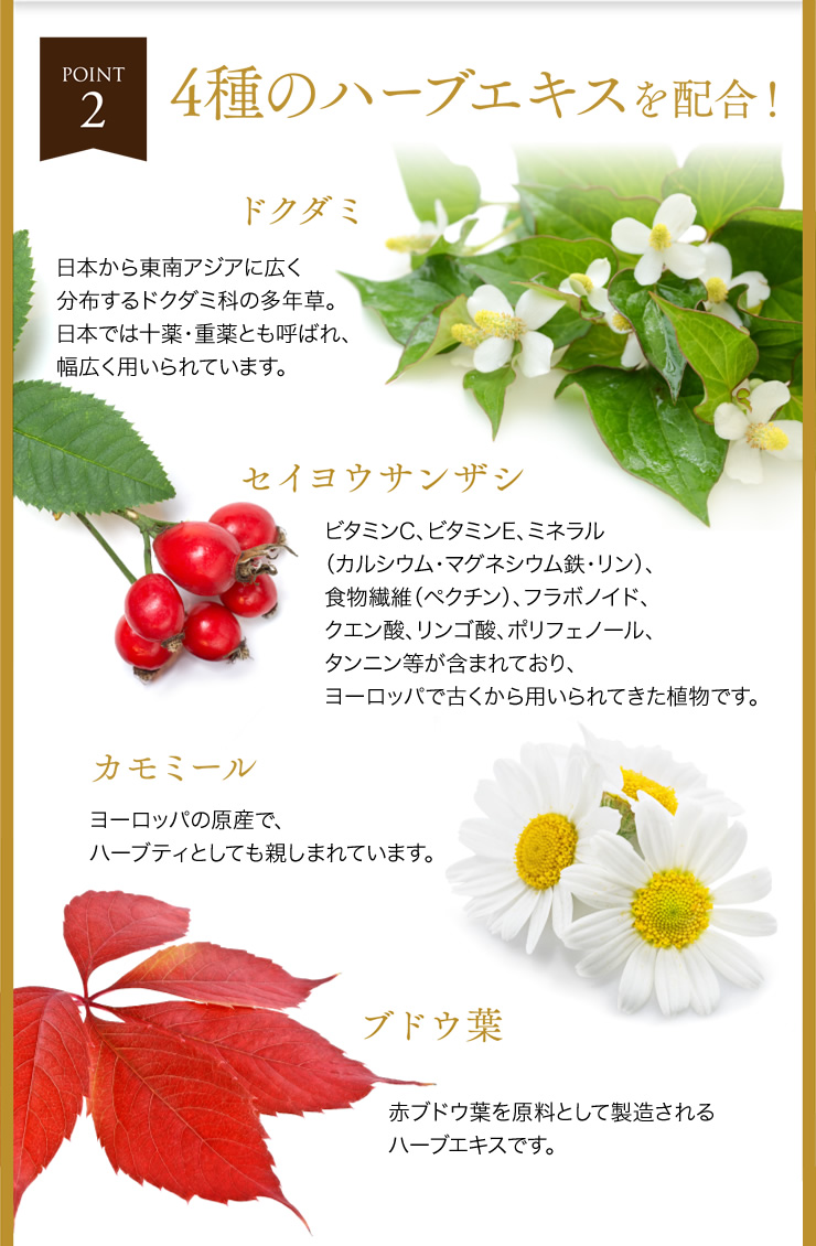 4種のハーブエキスを配合!