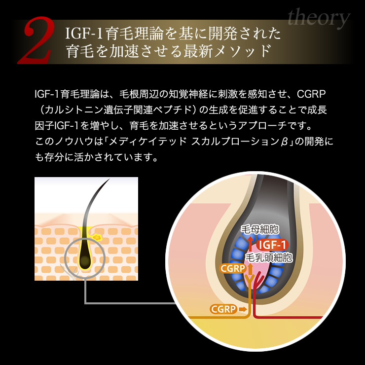 2.IGF1育毛理論を基に開発された育毛を加速させる最新メソッド